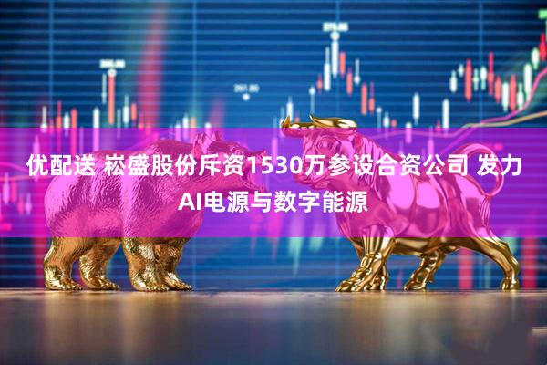 优配送 崧盛股份斥资1530万参设合资公司 发力AI电源与数字能源