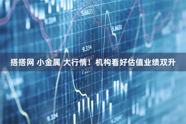 搭搭网 小金属 大行情！机构看好估值业绩双升