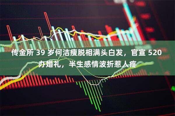 传金所 39 岁何洁瘦脱相满头白发，官宣 520 办婚礼，半生感情波折惹人疼