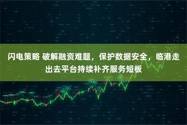 闪电策略 破解融资难题，保护数据安全，临港走出去平台持续补齐服务短板