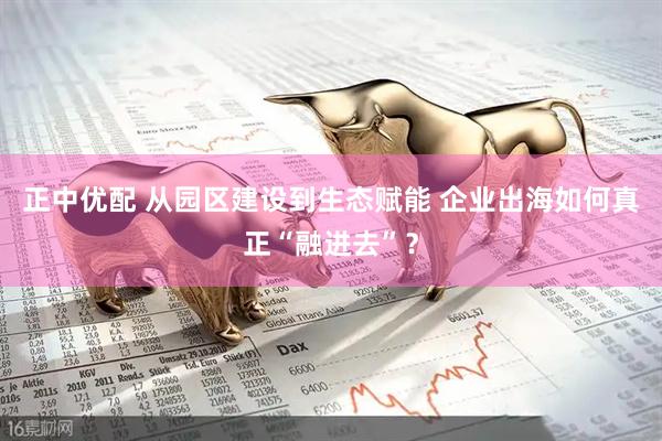 正中优配 从园区建设到生态赋能 企业出海如何真正“融进去”?