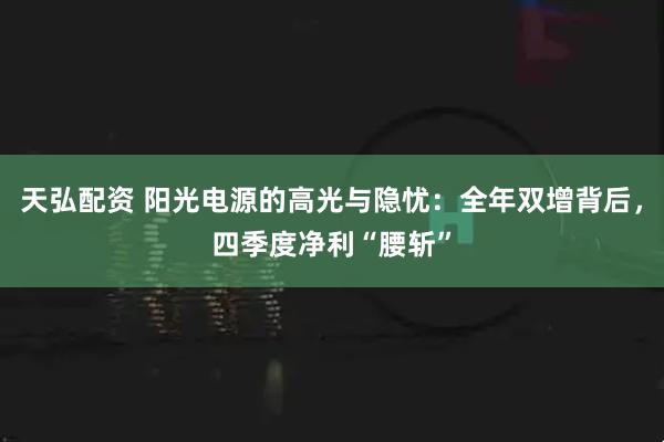 天弘配资 阳光电源的高光与隐忧:全年双增背后,四季度净利“腰斩”