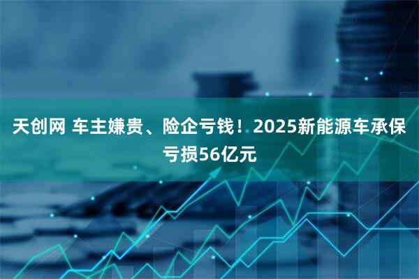 天创网 车主嫌贵、险企亏钱!2025新能源车承保亏损56亿元