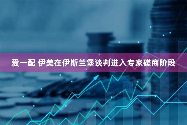 爱一配 伊美在伊斯兰堡谈判进入专家磋商阶段