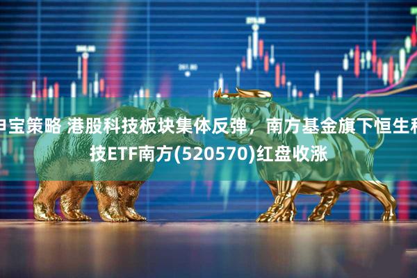 申宝策略 港股科技板块集体反弹，南方基金旗下恒生科技ETF南方(520570)红盘收涨