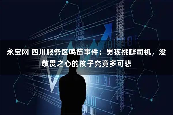 永宝网 四川服务区鸣笛事件：男孩挑衅司机，没敬畏之心的孩子究竟多可悲