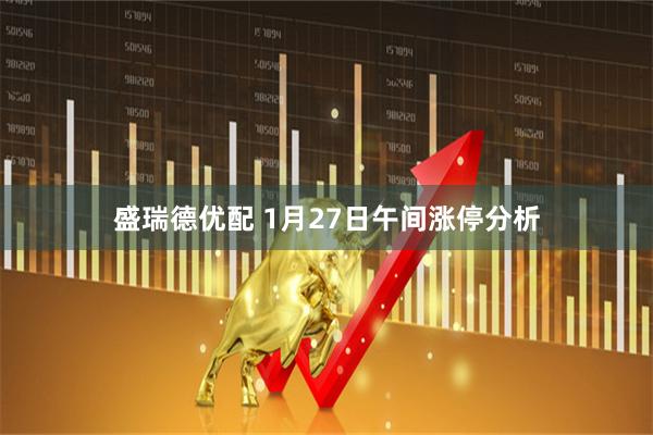 盛瑞德优配 1月27日午间涨停分析