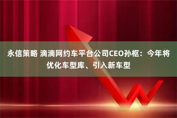 永信策略 滴滴网约车平台公司CEO孙枢：今年将优化车型库、引入新车型