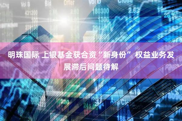 明珠国际 上银基金获合资“新身份” 权益业务发展滞后问题待解