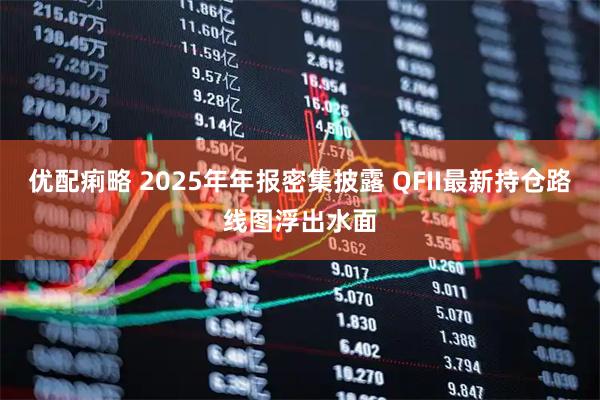 优配痢略 2025年年报密集披露 QFII最新持仓路线图浮出水面