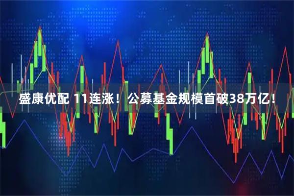 盛康优配 11连涨！公募基金规模首破38万亿！