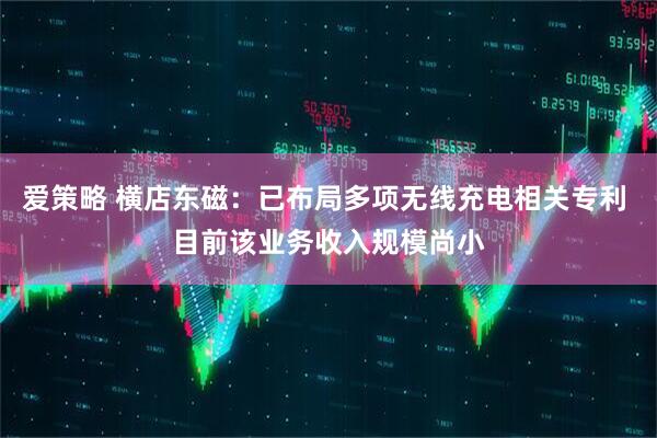 爱策略 横店东磁：已布局多项无线充电相关专利 目前该业务收入规模尚小