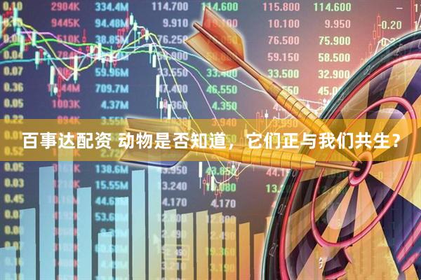 百事达配资 动物是否知道，它们正与我们共生？