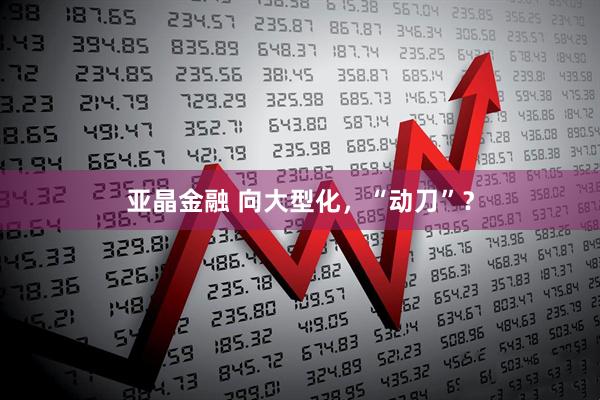 亚晶金融 向大型化，“动刀”？